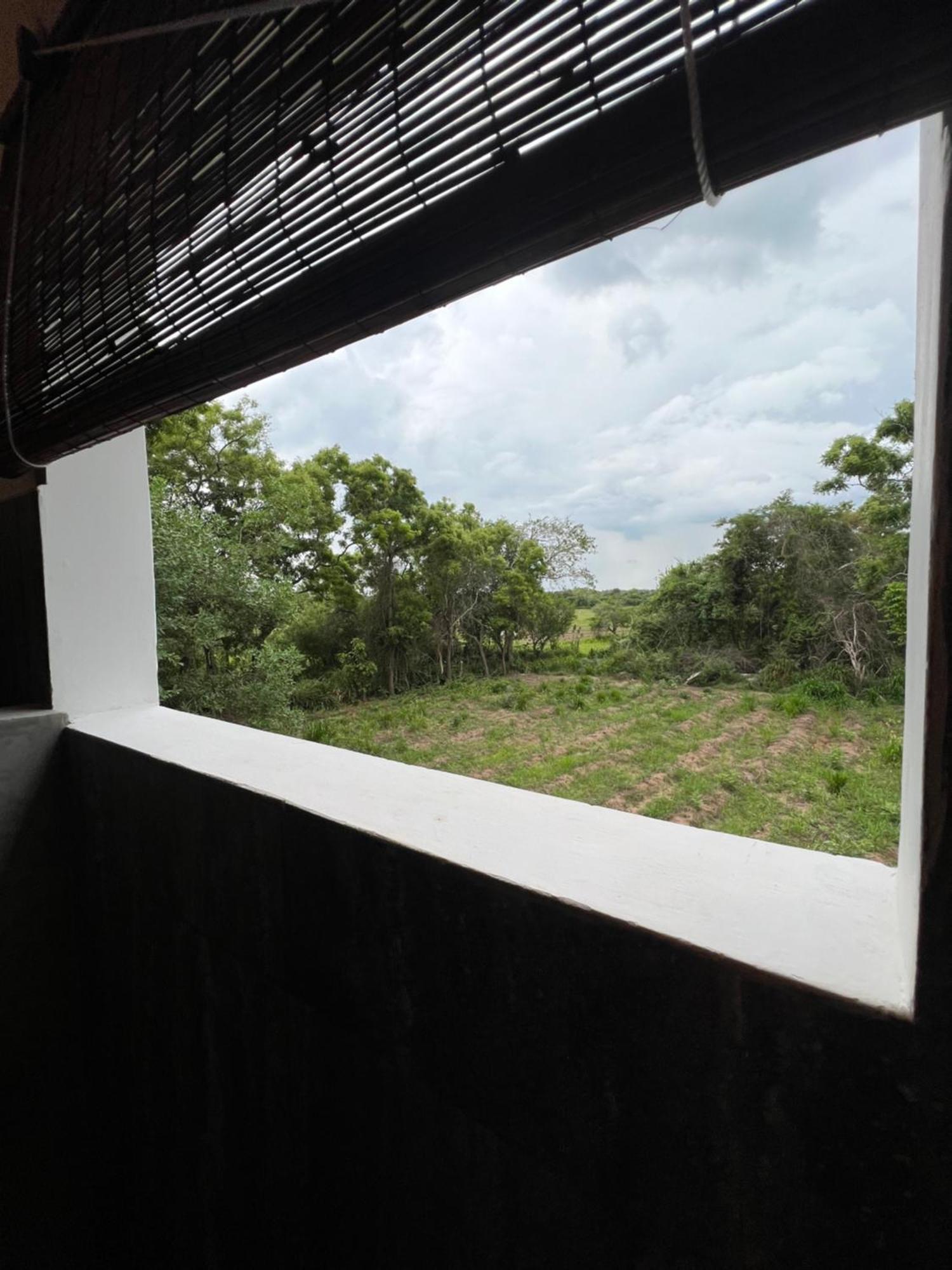 TEMBO Cottage Wilpattu Esterno foto